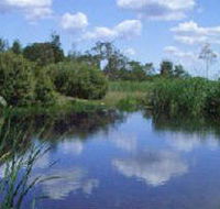Yan Yean Reservoir Park - Accommodation Sunshine Coast
