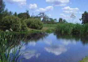 Yan Yean Reservoir Park - Accommodation Sunshine Coast 0