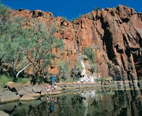 Python Pool - Accommodation Sunshine Coast 0