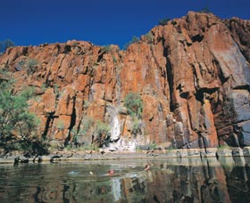 Python Pool - Accommodation Sunshine Coast 1