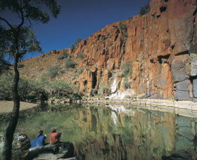 Python Pool - Accommodation Sunshine Coast 2