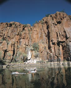 Python Pool - Accommodation Sunshine Coast 3