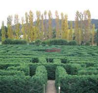 Brookfield Maze - Accommodation Sunshine Coast