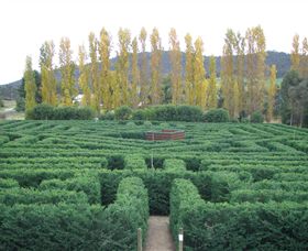 Brookfield Maze - Accommodation Sunshine Coast 0