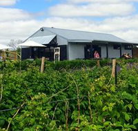 Ravens Creek Farm - Accommodation Sunshine Coast