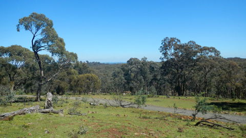 Bald Hill Lookout - Accommodation Sunshine Coast 0