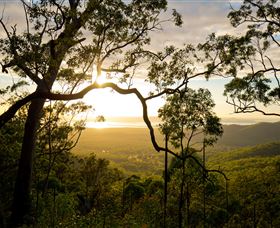Mount Larcom Climb - Accommodation Sunshine Coast 2