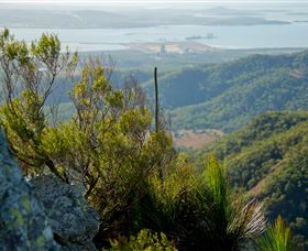 Mount Larcom Climb - Accommodation Sunshine Coast 1