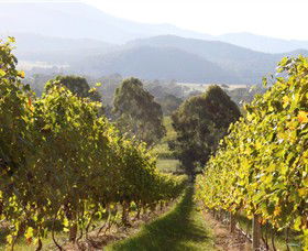 Pizzini Wines King Valley - Accommodation Sunshine Coast 3