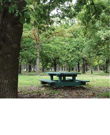 Lindsay Pryor National Arboretum - Accommodation Sunshine Coast 1