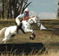 National Equestrian Centre - Kerrabee - Accommodation Sunshine Coast