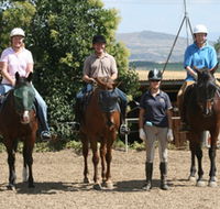Forest Park Riding and Equitation School - Accommodation Sunshine Coast