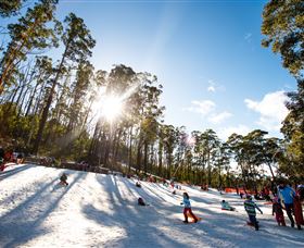 Corin Forest Mountain Resort - Accommodation Sunshine Coast 1
