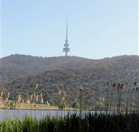 Black Mountain Peninsula - Accommodation Sunshine Coast