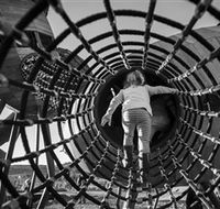 Pod Playground at the National Arboretum - Accommodation Sunshine Coast