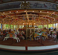 Merry-Go-Round - Accommodation Sunshine Coast