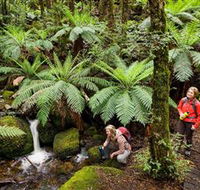 Baw Baw National Park - Accommodation Sunshine Coast