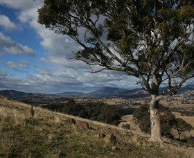 Adavale ACT Accommodation Sunshine Coast