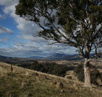Urambi Hills - Accommodation Sunshine Coast