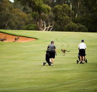 Federal Golf Club - Accommodation Sunshine Coast