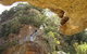 Blue Mountains National Park - thumb 2