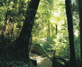 Blue Mountains National Park - Accommodation Sunshine Coast 5