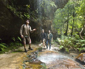 Blue Mountains National Park - Accommodation Sunshine Coast 3