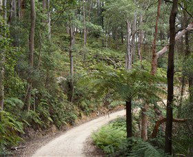Blue Mountains National Park - Accommodation Sunshine Coast 8