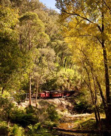Walhalla Goldfields Railway - Accommodation Sunshine Coast 3