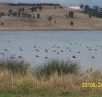 Lake Liddell Recreation Area - Accommodation Sunshine Coast