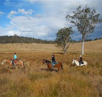 Chapman Valley Horse Riding - Accommodation Sunshine Coast