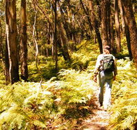 Federal Pass - Accommodation Sunshine Coast