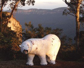 Lost Bear Gallery - Accommodation Sunshine Coast 0