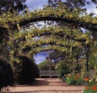 Blue Mountains Botanic Garden - Accommodation Sunshine Coast