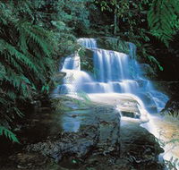 Leura Cascades - Accommodation Sunshine Coast