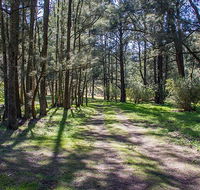 Wombeyan Waterfall walking track - Accommodation Sunshine Coast