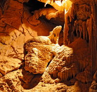 Fig Tree Cave - Accommodation Sunshine Coast