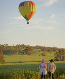 Avon Valley National Park - Accommodation Sunshine Coast 1