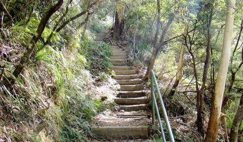 Nature Track - Accommodation Sunshine Coast 0