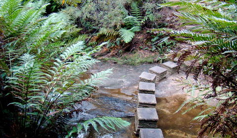 Nature Track - Accommodation Sunshine Coast 3