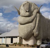 Big Merino - Accommodation Sunshine Coast