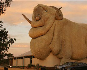 Big Merino - Accommodation Sunshine Coast 3