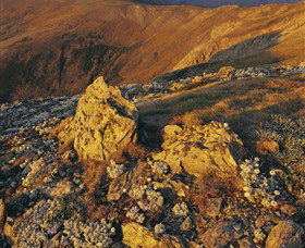 Kosciuszko National Park - Charlottes Pass To Snowy River - Accommodation Sunshine Coast 1