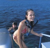 Seal Cove - Accommodation Sunshine Coast