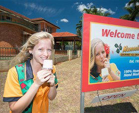 Mammino Gourmet Ice Cream - Accommodation Sunshine Coast 3