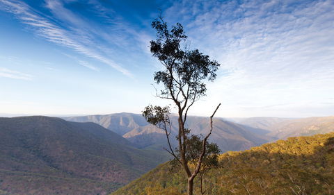 Salisbury Waters Walking Track - Accommodation Sunshine Coast 0