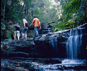 South Lawson Waterfall Circuit - Accommodation Sunshine Coast 0