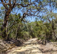 Howes trail - Accommodation Sunshine Coast