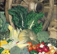 Mulgowie Real Farmers Markets - Accommodation Sunshine Coast