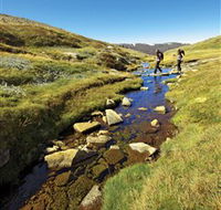 Australian Alps Walking Track - Accommodation Sunshine Coast